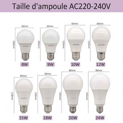 Comparatif tailles ampoules LED E27 de 8W à 24W AC220 240V