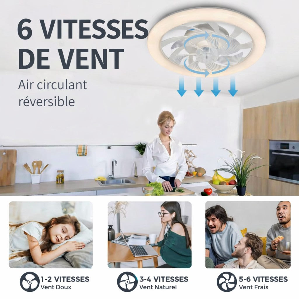 Ventilateur de Plafond Silencieux LED 48 cm vue produit coloris disponibles — Mon Univers - Mes Lumières