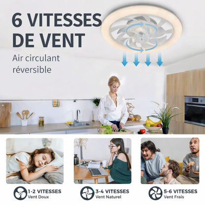 Ventilateur de Plafond Silencieux LED 48 cm vue produit coloris disponibles — Mon Univers - Mes Lumières