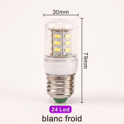 Ampoule LED E27 24 LED blanc froid variante pack de 6 — Mon Univers - Mes Lumières