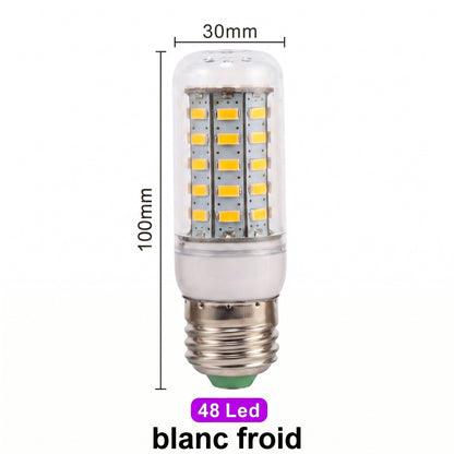 Ampoule LED E27 48 LED blanc froid variante pack de 6 — Mon Univers - Mes Lumières