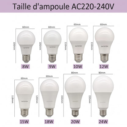 Comparatif tailles ampoules LED E27 de 8W à 24W AC220 240V