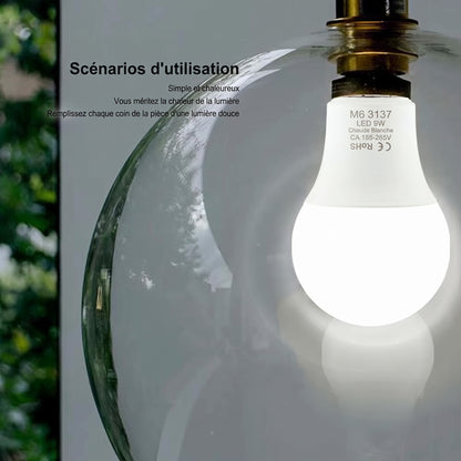 Ampoule LED E27 Dimmable installée en extérieur ambiance naturelle — Mon Univers - Mes Lumières