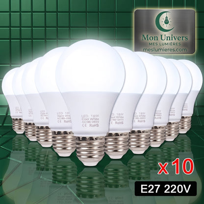 Pack de 10 ampoules LED E27 Dimmable Blanc Froid sur fond vert — Mon Univers - Mes Lumières