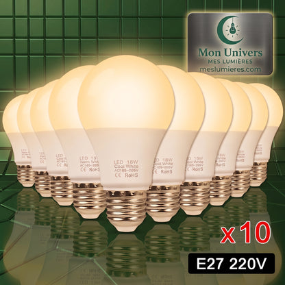 Pack de 10 ampoules LED E27 Dimmable Blanc Chaud sur fond vert — Mon Univers - Mes Lumières