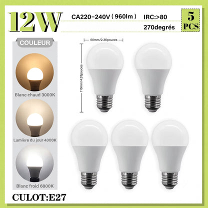 Lot de 5 ampoules LED E27 12W blanc chaud froid jour