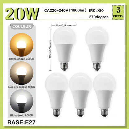 Lot de 5 ampoules LED E27 20W grande puissance format A80