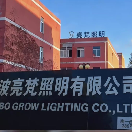 Usine chinoise de fabrication d'ampoules