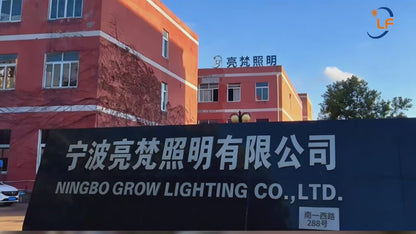 Usine chinoise de fabrication d'ampoules